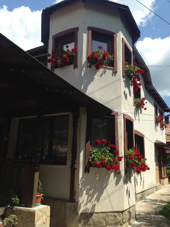 Pensiunea Casa Bianca - Bucovina Vama  Exterior photo